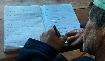 Adulto estudiando