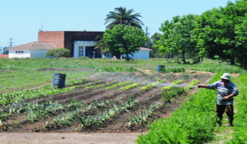 Aumentan las tierras para Colonización