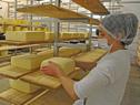 Escuela de Lechería de Nueva Helvecia posicionó a Uruguay como pionero en la materia en América Latina