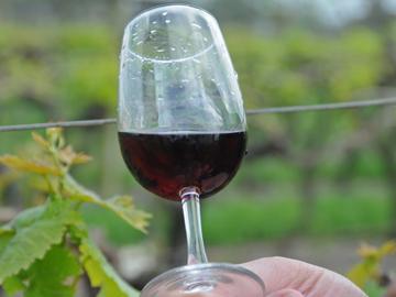 Copa de vino