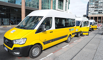 Minibuses de Primaria