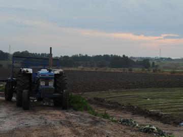 Granja