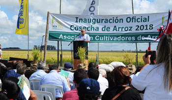 Ministro Enzo Benech en apertura de la cosecha arrocera 2018