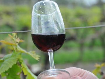 Copa de vino