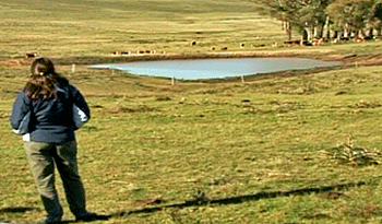 Productora rural