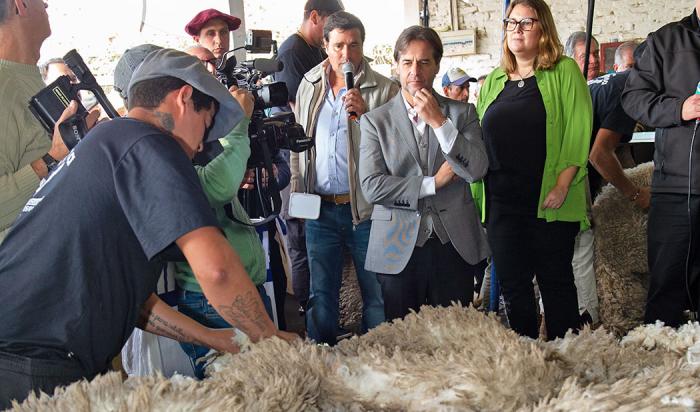 Presidente Luis Lacalle Pou observa la esquila de un ovino