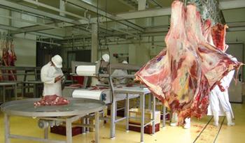 Establecimiento industrializador de carne.