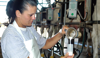 Trabajadora en planta de producción lechera