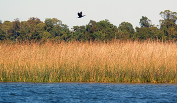 Río Santa Lucía