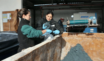 Personal de Dinama realizando controles a industrias Personal de Dinama realizando controles a industrias