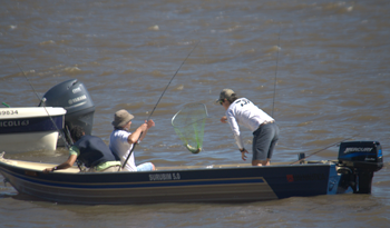 Pesca deportiva
