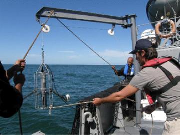 Pesca