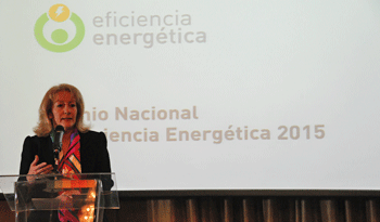 Directora de Energía, Olga Otegui