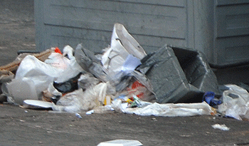 Combate contra las bolsas de plástico