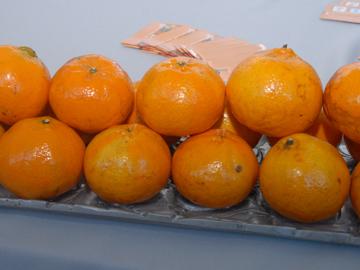 Naranjas