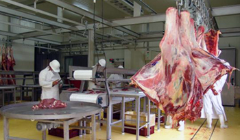 Carne uruguaya para el mundo