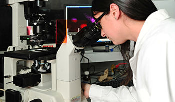 Investigación, innovación y desarrollo
