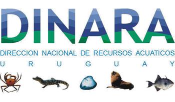 Logo de DINARA