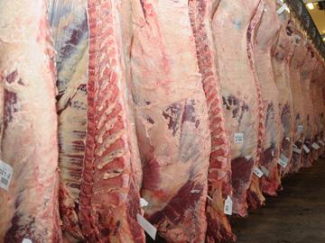 Carne Carne