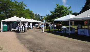 Feria de "Las Brujas" para alentar la agropecuaria familiar