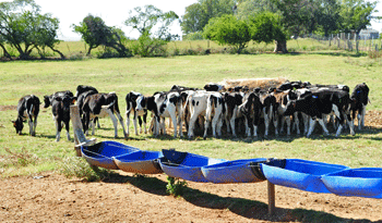 Extensión de zonas en emergencia agropecuaria
