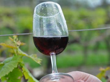 Copa de vino