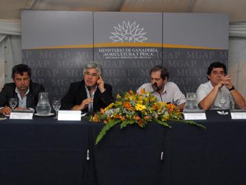 Autoridades