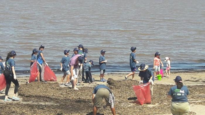 Voluntarios en octava edición del Día Internacional de Limpieza de Costas