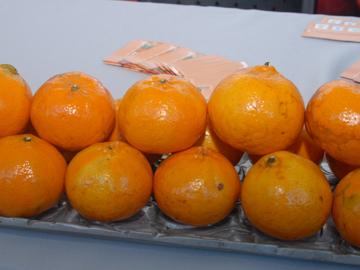Naranjas
