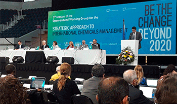Ministra Eneida de León en el encuentro internacional sobre químicos