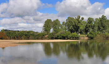 Río Cebollatí