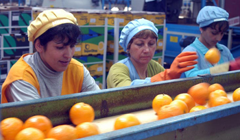 Mujeres protagonistas en el medio rural