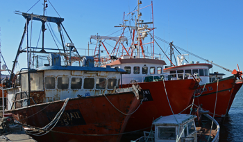 Buque pesquero en Bahia de Montevideo
