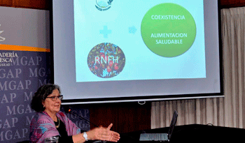 Zulma Gabard