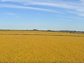Campos de Uruguay
