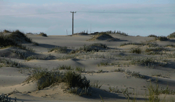 Dunas costeras