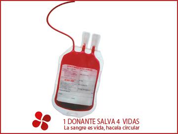 Afiche de la actividad