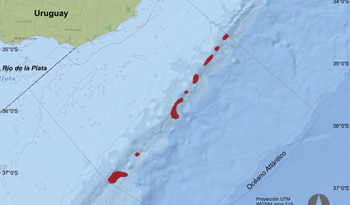 Mapa de corales elaborado por Dinama