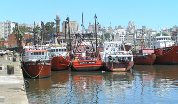 Brasil sigue como principal destino de las ventas uruguayas de productos pesqueros Brasil sigue como principal destino de las ventas uruguayas de productos pesqueros