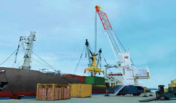 Grúa Terex QM 50