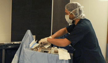 Trabajador de la salud