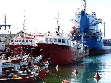 Embarcaciones en Puerto de La Paloma