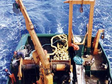 Pesca