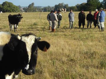 Productores en el medio rural