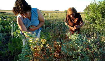 Programa de apoyo a familias rurales