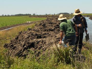 Gente trabajando en el campo