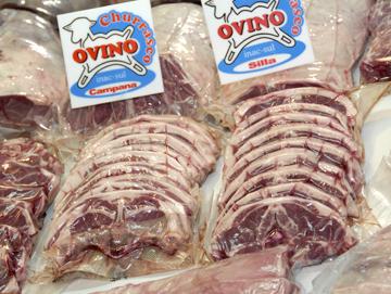 Carne Carne
