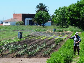 Emprendimiento familiar