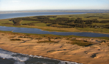 Ampliación de protección de la Laguna de Rocha