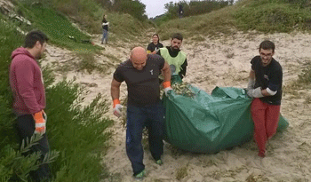 Voluntarios limpian playas